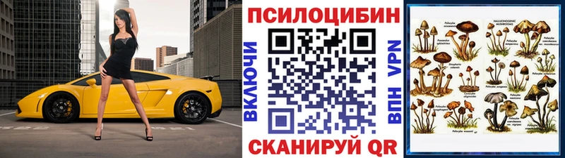 Купить Уварово Галлюциногенные грибы Psilocybine cubensis